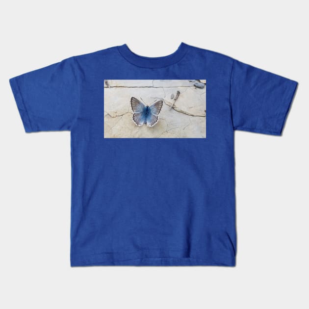 Blue butterfly Kids T-Shirt by GribouilleTherapie